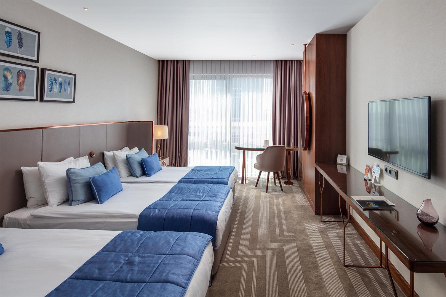 Deluxe Double or Twin Room,1274971696:JPEG