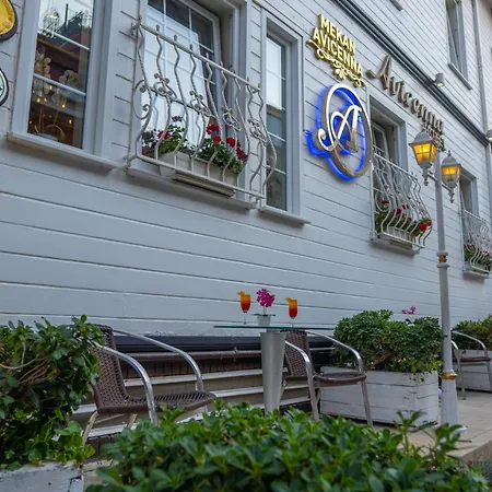 Avicenna Hotel Sultanahmet-3